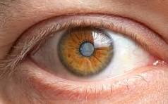 Sample image of a Cataract